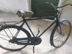 Phoenix bicycle - Galle