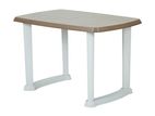 Phoenix Oval Plastic Table