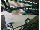 phoniex bicycle