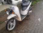 Piaggio 48Cc 2000