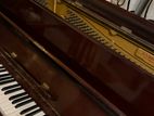 Piano B.Squire Son Brand