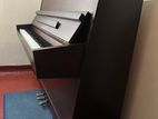 Pearl River Piano
