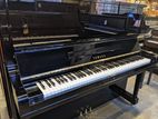 Piano - Nevil Center