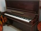 Piano (usa)