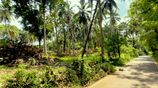 Picturesque Land Ffor Sale in Weboda