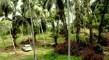 Picturesque Land Ffor Sale in Weboda