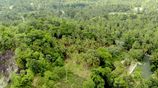 Picturesque Land Ffor Sale in Weboda