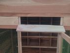 Pigeon Cage