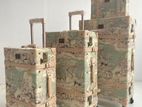 Pierre Cardin luggage bags sets