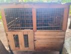 Pigeon Cage