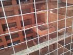 Pigeon Cage