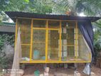 Pigeon Cage