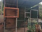 Pigeon cage