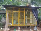 Pigeon Cage