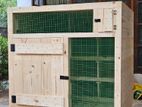 Pigeon Cage