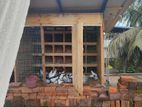 Pigeon Cage