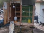 Pigeon Cage