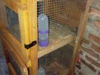 Pigeon Cage