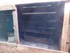 Pigeon Cage