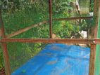 Pigeon Cage