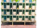 Pigeon Cage