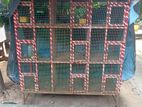 pigeon cage