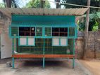 Pigeon Cage