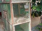 Pigeon cage