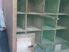 Pigeon Cage
