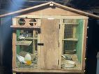 Pigeon Cage