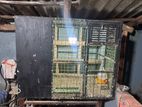 Pigeon Cage