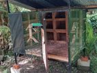 Pigeon Cage