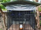 Pigeon Cage