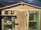Pigeon Cage