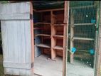 Pigeon Cage