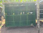 Pigeon Cage