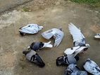 Pigeons