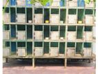 Pigeons Box Cage