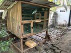 Pigeons Cage