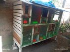 pigeons cage