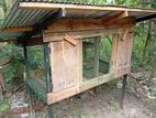 Pigeons Cage