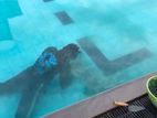Swimming Pools Maintaining