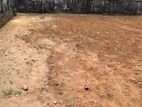 Piliyandala 25.1 P Land for Sale