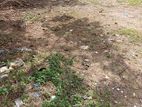 PILIYANDALA : 480P HIGHLY COMMERCIAL LAND FOR SALE