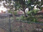 ☆ Piliyandala Bear Land for Sale ( RS - 464)
