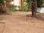 Piliyandala Gangarama Road Two Attached Bare Lands (8P x 2) for sale