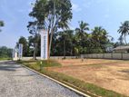 Piliyandala Gorakapitiya - Land Lots for Sale R14