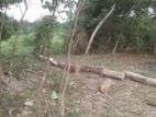 Piliyandala Kesbawa Kahathuduwa Gonapola Land Sale