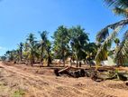 PILIYANDALA KESBEWA NEW LAND FOR SALE D