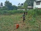 Piliyandala Kottawa Road Mavittara land For Sale ( Ref No : RS -548)